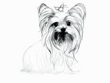 Cairn Terrier Coloring Pages Boston Terrier Coloring Pages at Getcolorings