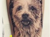 Cairn Terrier Coloring Pages Cairn Terrier Tattoos Ideas