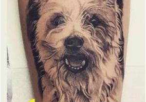 Cairn Terrier Coloring Pages Cairn Terrier Tattoos Ideas