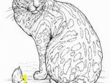 Calico Cat Coloring Pages 242 Best Adult Coloring Pages Cats Cats Cats Images On Pinterest