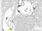Calico Cat Coloring Pages 499 Best Just Cats Coloring 1 Images On Pinterest
