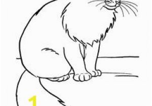 Calico Cat Coloring Pages Cat Color Pages Printable Cat Coloring Picture for Free