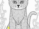 Calico Cat Coloring Pages Fat Tail Fox Coloring Page Adult Coloring Pages