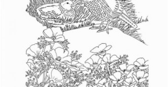 California Missions Coloring Pages Pin by Anne Wheeler On Books Worth Reading