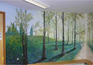 Calming Murals Gloucestershire Mural Artist