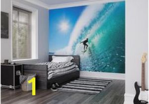 Calming Murals Sports Wall Murals