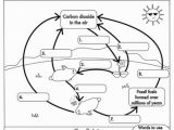 Carbon Cycle Coloring Page 45 Great Carbon Cycle Worksheet