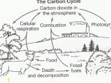 Carbon Cycle Coloring Page 45 Great Carbon Cycle Worksheet