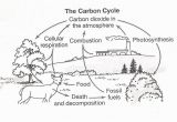 Carbon Cycle Coloring Page Carbon Cycle Coloring Page Best Teaching