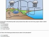 Carbon Cycle Coloring Page Carbon Cycle Coloring Page Best the Process the Water Cycle