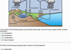 Carbon Cycle Coloring Page Carbon Cycle Coloring Page Best the Process the Water Cycle