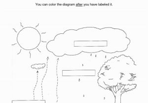 Carbon Cycle Coloring Page Carbon Cycle Coloring Page Unique Labelled Diagram Water Cycle Free