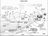 Carbon Cycle Coloring Page Carbon Cycle Diagram Elementary Wiring Diagram & Electricity