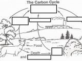 Carbon Cycle Coloring Page Wizer Free Interactive Carbon Cycle Biology Cycles Blended