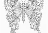 Cartoon butterflies Coloring Pages 2936 Best Templates Patterns & Printables Images On Pinterest