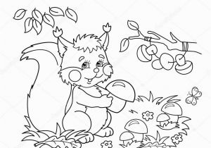 Cartoon butterflies Coloring Pages Coloring Page Outline Cartoon Squirrel with Mushrooms In the