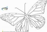 Cartoon butterflies Coloring Pages Free Coloring Pages butterflies 20 Printable butterfly Coloring