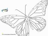 Cartoon butterflies Coloring Pages Free Coloring Pages butterflies 20 Printable butterfly Coloring