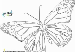 Cartoon butterflies Coloring Pages Free Coloring Pages butterflies 20 Printable butterfly Coloring