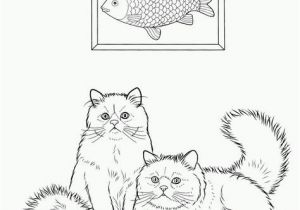 Cartoon Cat Coloring Pages Cat Coloring Pages for Adults