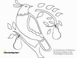 Cat and Mouse Coloring Pages Dltk Cat Coloring Pages