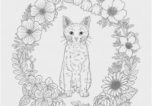 Cat Coloring Pages for Kids to Print Coloring Sheets Kids Display Coloring Sheets Kids Popular