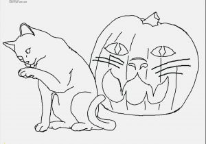 Cat Coloring Pages for Kids to Print Print Coloring Pages Kitten at Coloring Pages