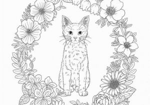 Cat Coloring Pages Free Printable Cat Coloring Pages Printable From Cat Coloring Pages Free Printable