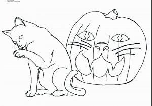 Cat Coloring Pages Free Printable Cool Coloring Sheets for Boys Download Cat Coloring Pages Free