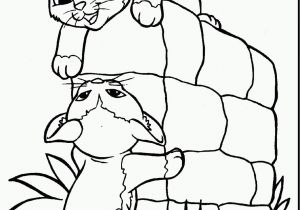 Cat Coloring Pages Free Printable Free Cat Coloring Pages to Print Fresh Dog and Cat Coloring Pages