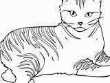 Cat Warriors Coloring Pages American Ninja Warrior Coloring Pages American Prize Winning