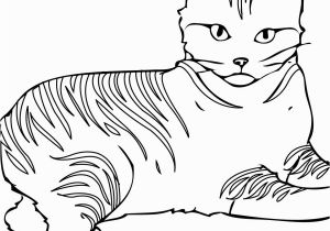 Cat Warriors Coloring Pages American Ninja Warrior Coloring Pages American Prize Winning