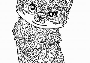 Cat Warriors Coloring Pages Coloring Catg Pages Kitten Pusheen Black and White Unicorn