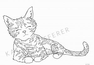 Cat Warriors Coloring Pages Coloring Real Cat and Kitten Coloring Pages Printable