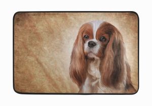 Cavalier King Charles Spaniel Coloring Page Amazon Alaza My Daily Cavalier King Charles Spaniel