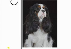 Cavalier King Charles Spaniel Coloring Page Amazon Blueviper Cavalier King Charles Spaniel Dog
