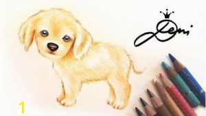 Cavalier King Charles Spaniel Coloring Page Hund Zeichnen Cavalier King Charles Spaniel Welpe Malen Dog