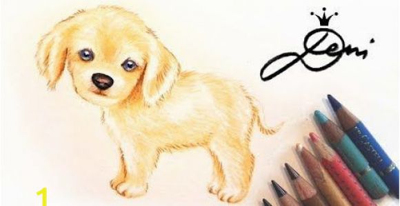 Cavalier King Charles Spaniel Coloring Page Hund Zeichnen Cavalier King Charles Spaniel Welpe Malen Dog