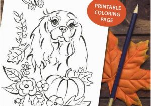 Cavalier King Charles Spaniel Coloring Page Printable Coloring Page Cavalier King Charles Spaniel Autumn Season Pumpkin Diy Dog Art Coloring Page Digital File Diy Dog Wall Art