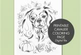 Cavalier King Charles Spaniel Coloring Page Printable Coloring Page