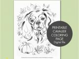 Cavalier King Charles Spaniel Coloring Page Printable Coloring Page