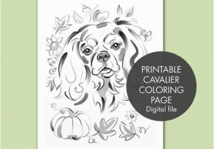 Cavalier King Charles Spaniel Coloring Page Printable Coloring Page