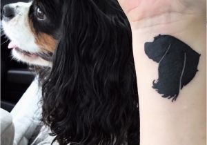 Cavalier King Charles Spaniel Coloring Page Silhouette Tattoo Of My Cavalier King Charles Spaniel