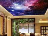 Ceiling Decals Mural 58 Best Ceiling Murals Images