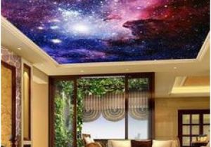 Ceiling Decals Mural 58 Best Ceiling Murals Images