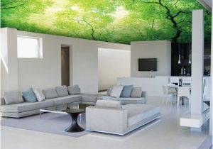 Ceiling Decals Mural Alternative for White Ceiling 3d Ceiling Design Ideas