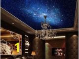 Ceiling Murals Night Sky 58 Best Ceiling Murals Images