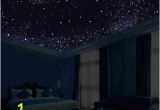 Ceiling Murals Night Sky Glow In the Dark Night Sky Mural Stars Constellations Milky Way 5 Ft