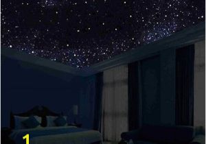 Ceiling Murals Night Sky Glow In the Dark Night Sky Mural Stars Constellations Milky Way 5 Ft