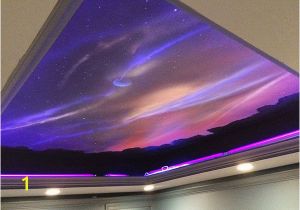 Ceiling Murals Night Sky Widfire Paints On the Ceiling Allows A Mural to Change From Day to